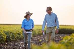 BASF anunţă băncile de investiţii mandatate pentru listarea planificată a diviziei Agricultural Solutions